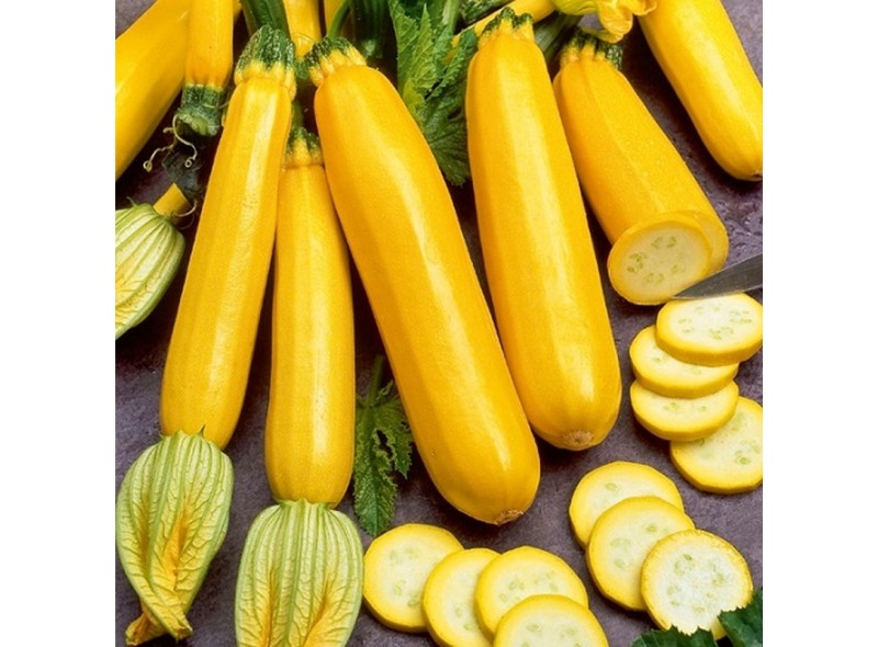 Насіння кабачка Голдстік F1 (45 дні) (500 сім.) Lark Seeds Насіння кабачка Голдстік F1 (45 дні) (500 сім.) Lark Seeds